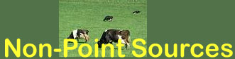 Image of cows and "Non-point sources" text